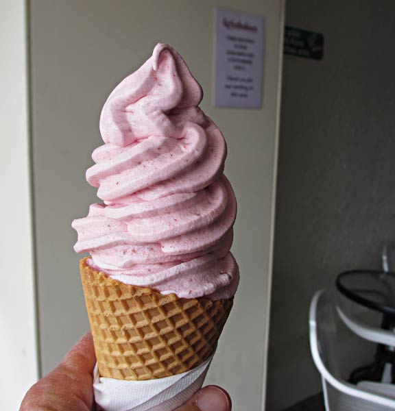 Majors Group NZ: Gelato Machines, Ice Cream, Frozen Yoghurt